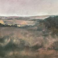 Dartmoor Evening 